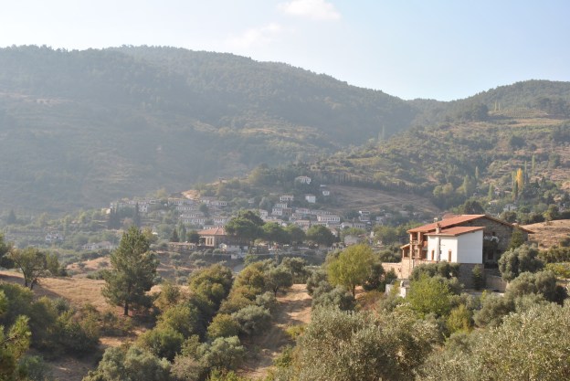 SetenayDogan_DSC_0471