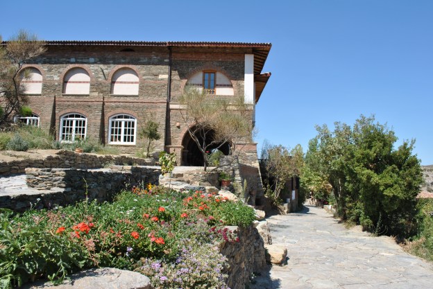 SetenayDogan_DSC_0576